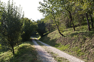 Il Settecento
